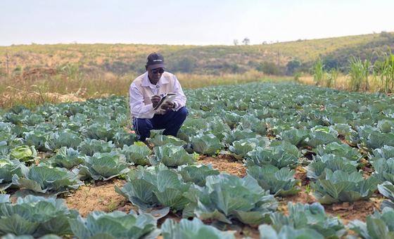 Construção de barragem apoia agricultores e promove resiliência em Angola